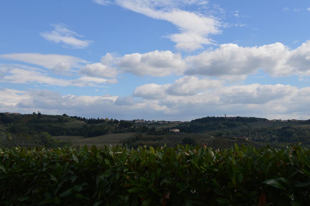 Oliveta Daire Tavarnelle Val di Pesa Oda fotoğraf